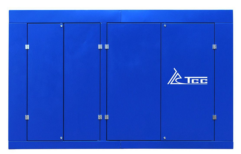 Дизельный генератор ТСС АД-250С-Т400-1РПМ9 с АВР ДизельЭнергоРесурс